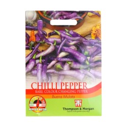 Thompson & Morgan Chilli Pepper Buena Mulata