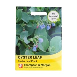 Thompson & Morgan Oyster Leaf Plant