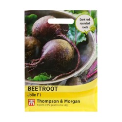 Thompson & Morgan Beetroot Jolie F1