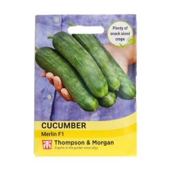 Thompson & Morgan Cucumber Merlin