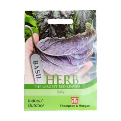 Thompson & Morgan Herb Basil Sally