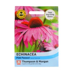 Thompson & Morgan Echinacea Pink Parasol