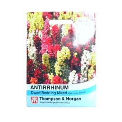 Thompson & Morgan Antirrhinum Dwarf Mixed