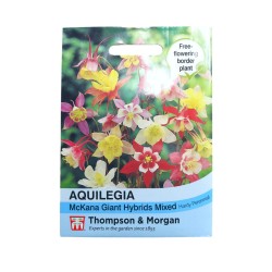 Thompson & Morgan Aquilegia McKana Giant Mixed