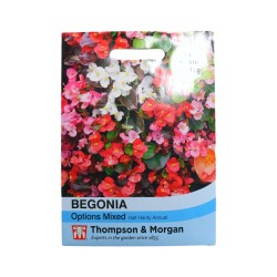 Thompson & Morgan Begonia Options Mixed