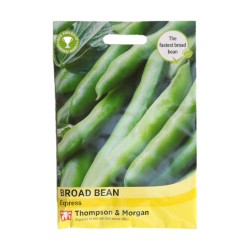 Thompson & Morgan Broad Bean Express