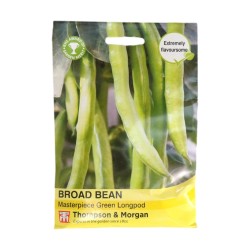 Thompson & Morgan Broad Bean Masterpiece Longpod