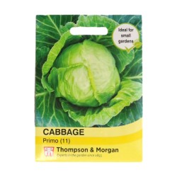 Thompson & Morgan Cabbage Primo (11)