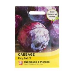 Thompson & Morgan Cabbage Ruby Ball F1