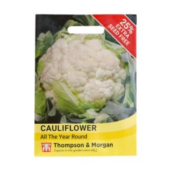 Thompson & Morgan Cauliflower All Year Round