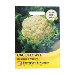 Thompson & Morgan Cauliflower Walcheren Winter