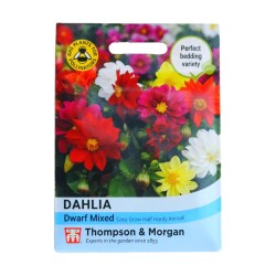 Thompson & Morgan Dahlia Dwarf Mixed