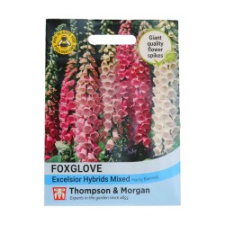 Thompson & Morgan Foxglove Excelsior