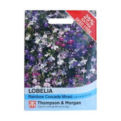 Thompson & Morgan Lobelia Rainbow Cascade Mixed