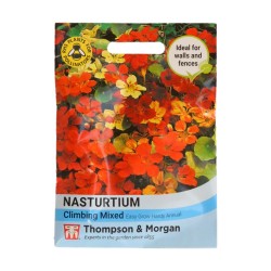 Thompson & Morgan Nasturtium Climbing Mixed