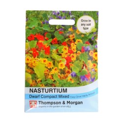 Thompson & Morgan Nasturtium Dwarf Compact