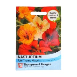 Thompson & Morgan Nasturtium Tom Thumb Mixed