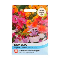 Thompson & Morgan Nemesia Tapestry Mixed