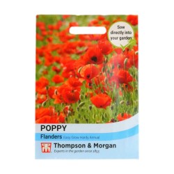 Thompson & Morgan Poppy Flanders