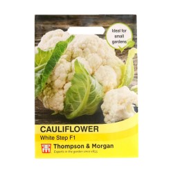 Thompson & Morgan Cauliflower White Step F1