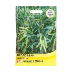 Thompson & Morgan Broad Bean Luz De Otono