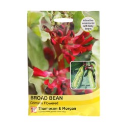 Thompson & Morgan Broad Bean Crimson Flowered