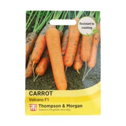 Thompson & Morgan Carrot Volcano F1