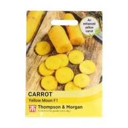 Thompson & Morgan Carrot Yellow Moon F1