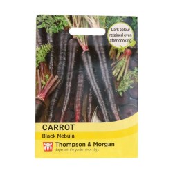 Thompson & Morgan Carrot Black Nebula