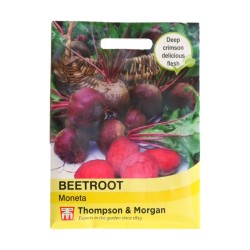 Thompson & Morgan Beetroot Moneta