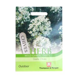Thompson & Morgan Herb Garlic Chives