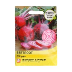 Thompson & Morgan Beetroot Chioggia