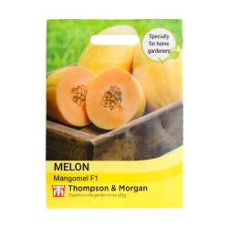 Thompson & Morgan Melon Mangomel