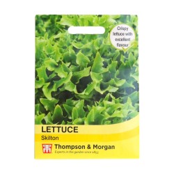 Thompson & Morgan Lettuce Skilton