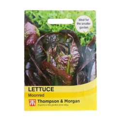 Thompson & Morgan Lettuce Moonred