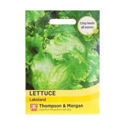 Thompson & Morgan Lettuce Lakeland