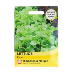 Thompson & Morgan Lettuce Kyrio