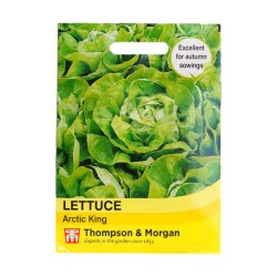 Thompson & Morgan Lettuce Artic King