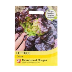 Thompson & Morgan Lettuce Oakus