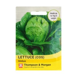 Thompson & Morgan Lettuce Globus