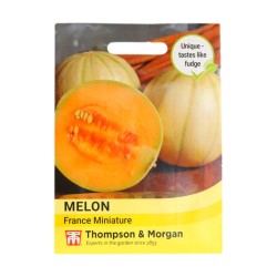 Thompson & Morgan Melon France Miniature