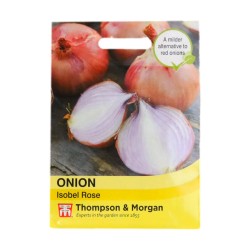 Thompson & Morgan Onion Isobel Rose