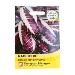 Thompson & Morgan Radicchio Rossa Di Treviso Precoce