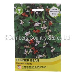 Thompson & Morgan Runner Bean Summer Medley