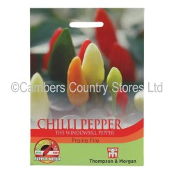 Thompson & Morgan Chilli Pepper Prairie Fire