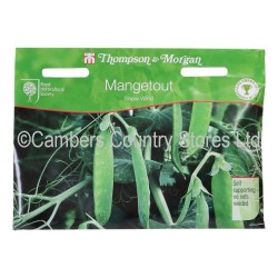 Thompson & Morgan Mangetout Snow Wind