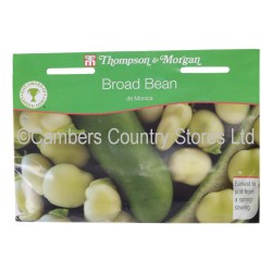 Thompson & Morgan Broad Bean De Monica