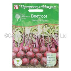 Thompson & Morgan Beetroot Wodan F1 Hybrid