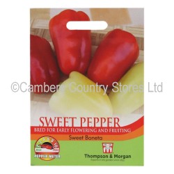 Thompson & Morgan Chilli Pepper Sweet Boneta