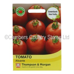 Thompson & Morgan Tomato Alicante